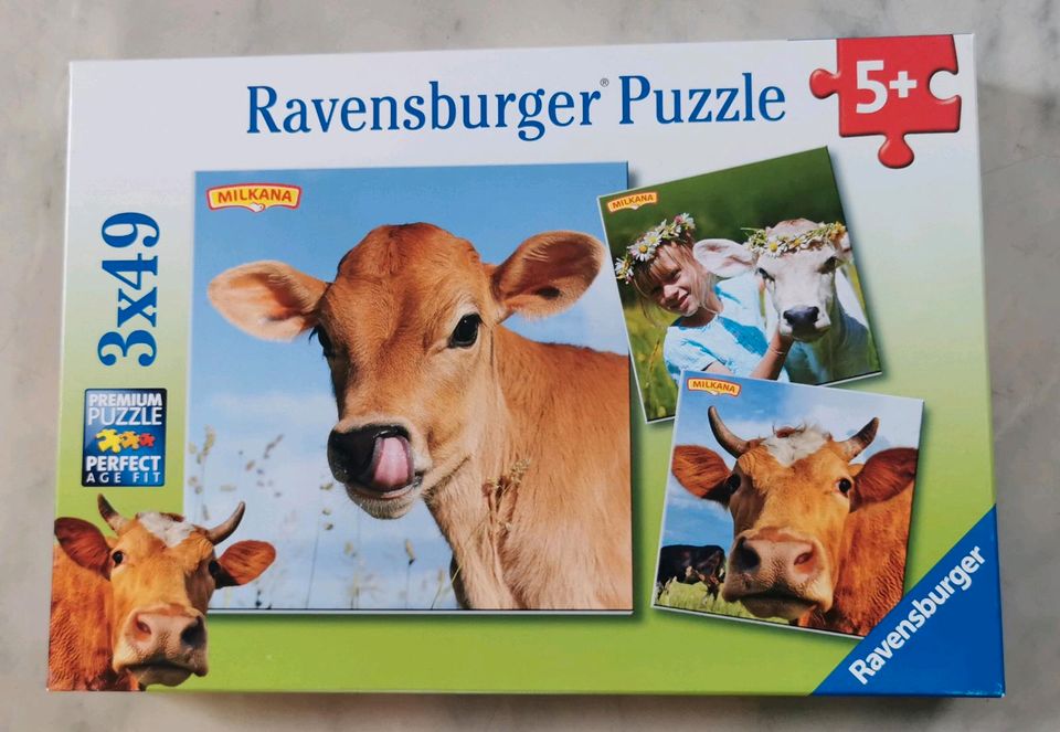 Ravensburger Puzzle 5+ Kuh Kühe 3x49 in Limburg