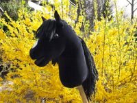 wunderschöhnes schwarzes Hobby horse mit viel Zubehör Bayern - Füssen Vorschau