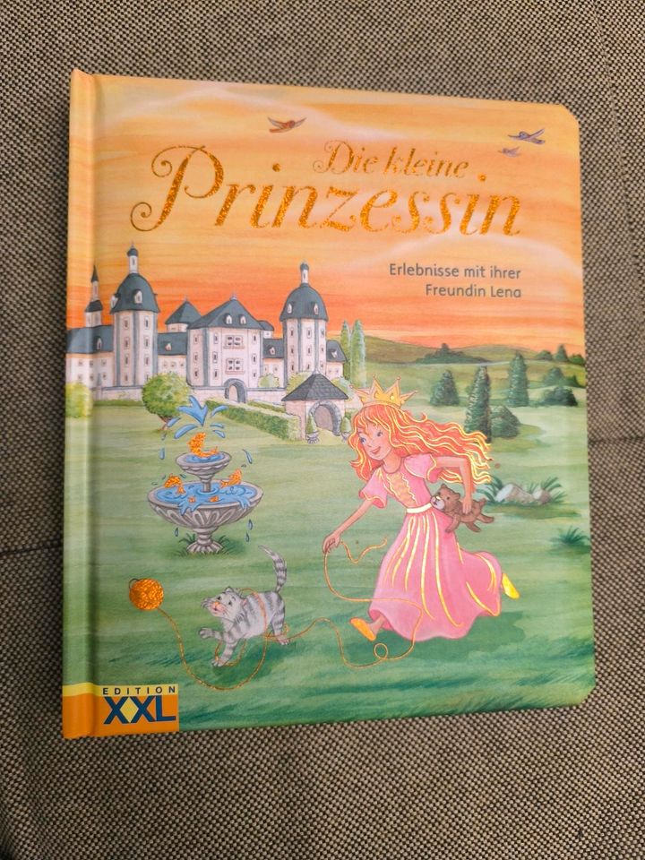 Pappbilderbuch* Die kleine Prinzessin * Kinderbuch in Lehrte