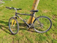 Fahrrad MTB Scott 26" Rheinland-Pfalz - Ransbach-Baumbach Vorschau