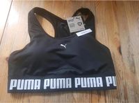 NEU Puma Sport-BH M Brandenburg - Zossen Vorschau