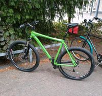grünes Fahrrad / Mountainbike gestohlen, 29er, XXL Rahmen, MTB. Nordrhein-Westfalen - Oberhausen Vorschau