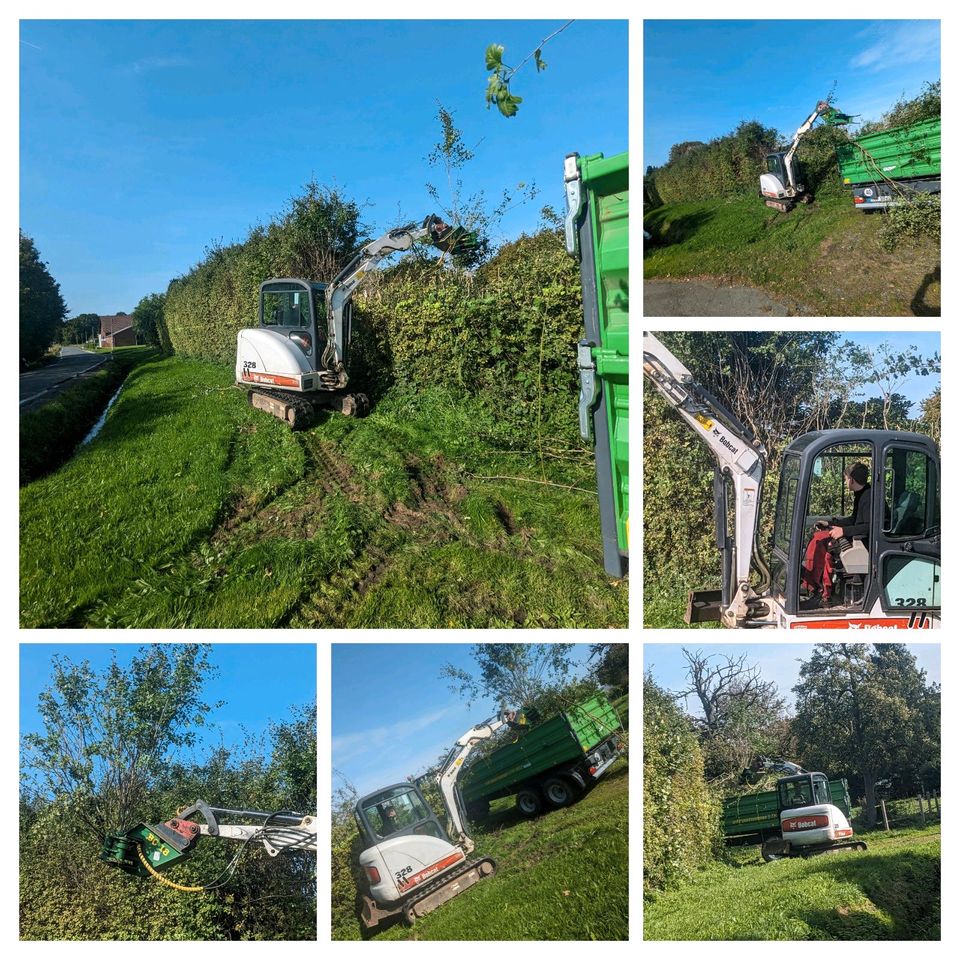 Gartenbau, Gartenpflege, Baumfällungen, Hausmeistertätigkeiten in Hamm