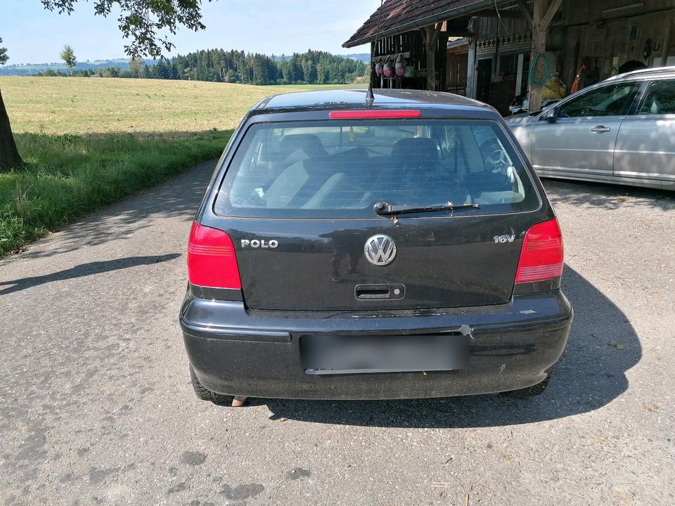 VW Polo 1.4 16 V 101 PS AUTOCROSS in Ühlingen-Birkendorf