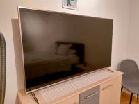 Fernsehen Panasonic Niedersachsen - Gehrden Vorschau