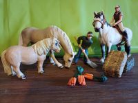 Set 25 Figuren Schleich Pferde Reiter Zubehör Nordrhein-Westfalen - Haan Vorschau