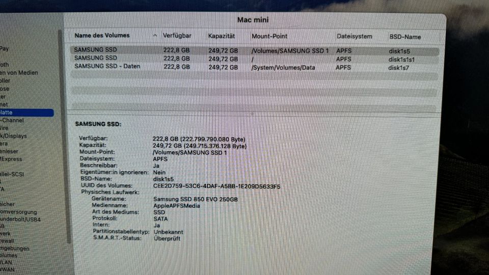 APPLE MAC Mini, SONOMA, 256 GB SAMSUNG SSD, 8 GB RAM in Gießen