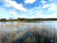 Wassergrundstück mit Ferienhaus und Bootssteg am Vielitzsee zu verkaufen! Brandenburg - Lindow Vorschau