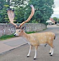 XXL Damhirsch Hirsch lebensgross 180cm Wild Gartenfigur Cudek Gar Bayern - Hofkirchen Vorschau