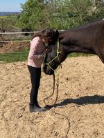 Reiterferien - Natural Horsemanship Ferienkurse Hessen - Wetzlar Vorschau