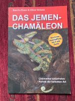 Das Jemen Chamäleon chamaeleo calyptratus Bayern - Auerbach in der Oberpfalz Vorschau