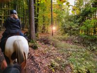 Reitunterricht, Ausritte, Freizeitreiten, Einsteiger, Anfänger,.. Bayern - Betzenstein Vorschau