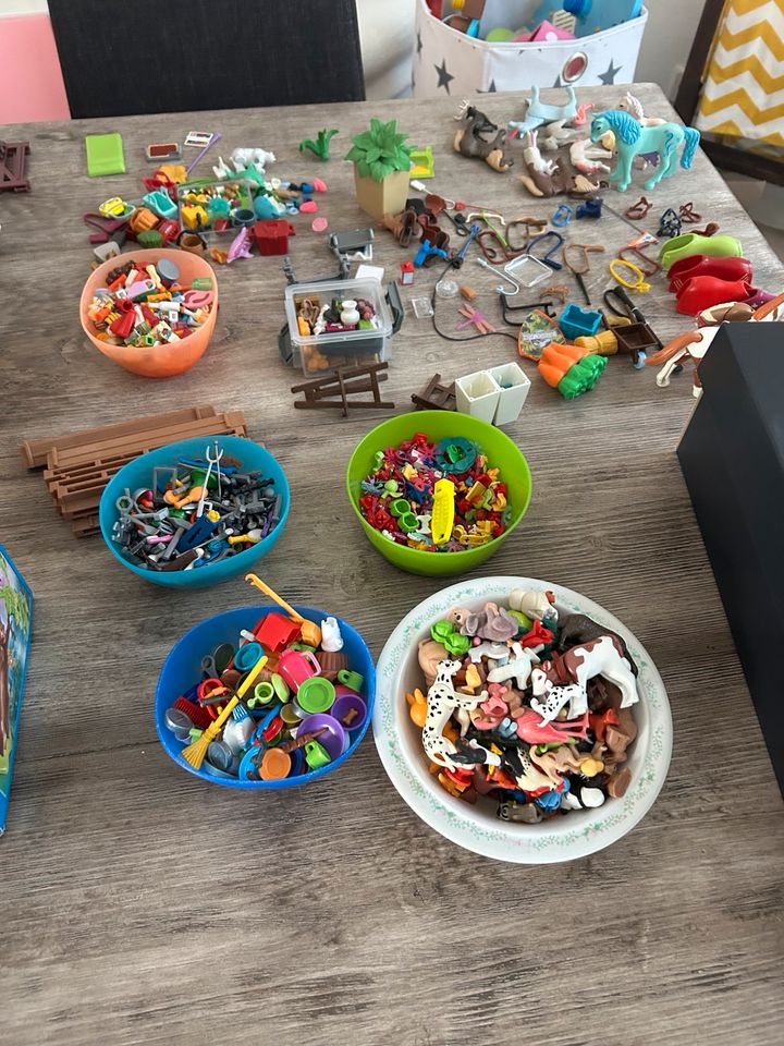 Riesen Playmobil Sammlung, Bauernhof, Schule, Spielplatz… in Teltow