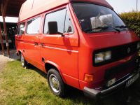 VW T3, Oldtimer, neuer Motor, neuer TÜV, Hochdach Sachsen-Anhalt - Biederitz Vorschau