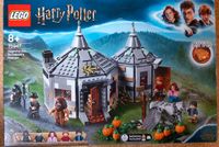 Lego Harry Potter 75947 Hagrids Hütte Nordrhein-Westfalen - Welver Vorschau