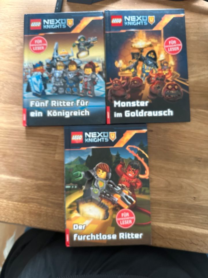 Lego Knights Bücher in Dortmund