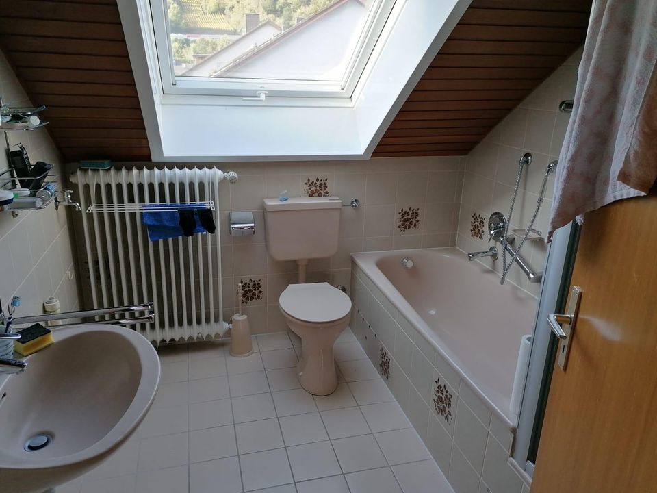 Helle 2 Zimmer Wohnung mit Dachterasse und EBK in Großheubach in Freudenberg