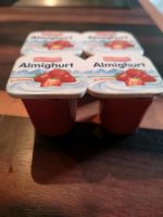 Kleine Joghurts Kinderküche 4er Brandenburg - Bestensee Vorschau