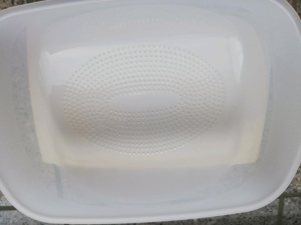 Tupperware Käsemax groß in Glasau