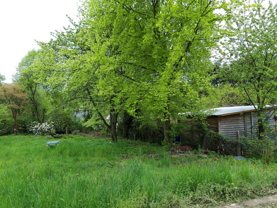 Westerwald: Charaktervolles, großes Fachwerk-Gebäude mit tollem Gartengrundstück und 3er-Garage in Mehren Westerwald