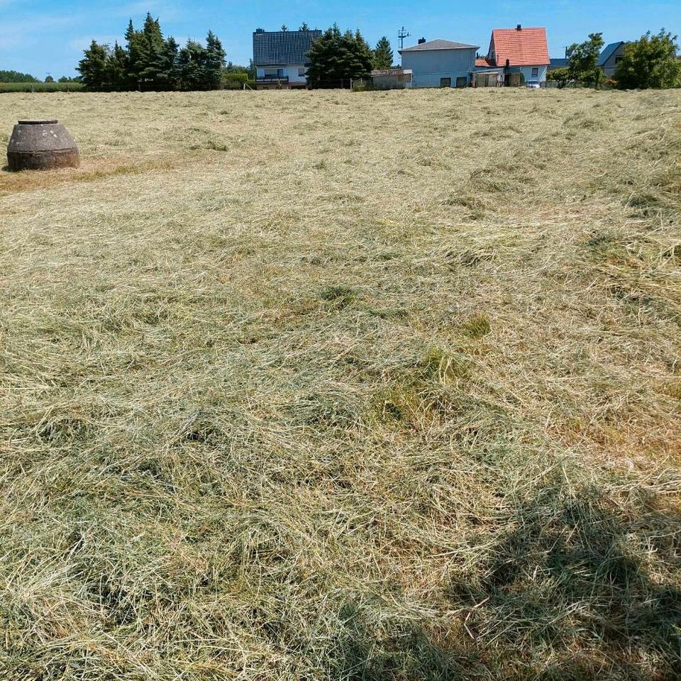 Verkaufe Heu Ernte 2023 in Schmoelln