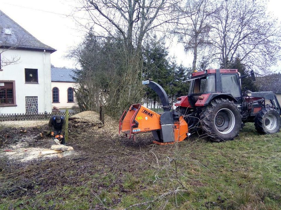 Sturmschaden,Astbruch ,Aufräumen ,Wasserschaden ,Hochwasser in Prüm