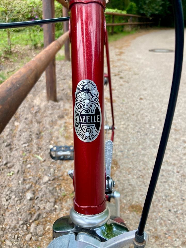 Gazelle Rennrad Vintage Olympia Race rot retro in Sottrum