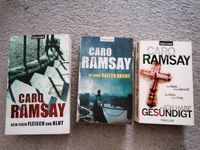 Caro Ramsey Thriller Krimi Leipzig - Sellerhausen-Stünz Vorschau