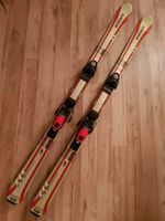 Elan Ski 150cm Sachsen-Anhalt - Möckern Vorschau