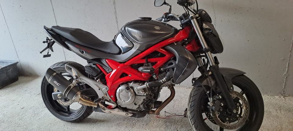 Suzuki Gladius 650 in Stühlingen