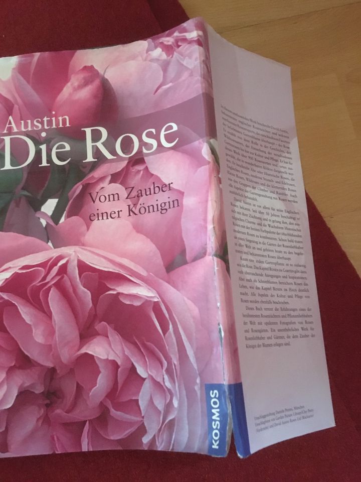 Die Rose von David Austin in Memmelsdorf