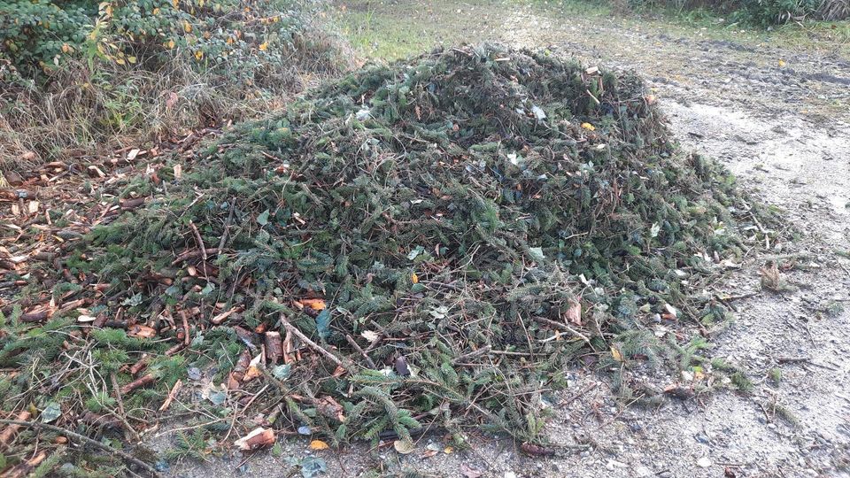 Reisig, Zweige, Äste, Fichte - gehackt (müssten 9cm sein) in Langenneufnach