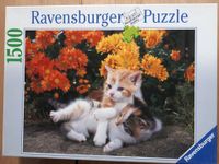 Ravensburger Puzzle "Spielende Kätzchen"  1500 Teile Düsseldorf - Kalkum Vorschau