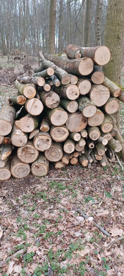 Feuerholz Hartholz Brennholz Kaminholz Esche in Großenhain