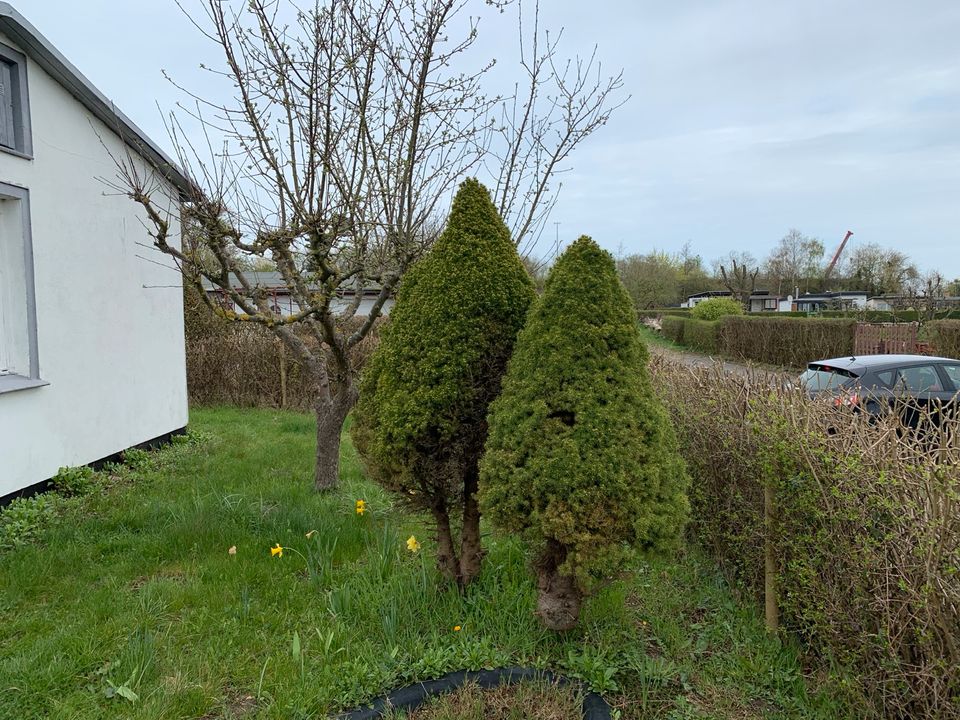 Kleingarten mit massiver Laube, Greifswalder Bodden in Greifswald