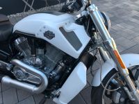 V Rod Muscle Nordrhein-Westfalen - Unna Vorschau