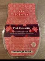 Dringend Verschiedene Scentsy Produkte zu Verkaufen Bars,Warmer Hessen - Wiesbaden Vorschau