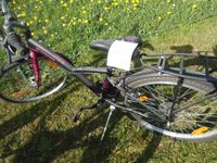 fahrrad bt win 24 x 1,75 Bayern - Gerolfingen Vorschau