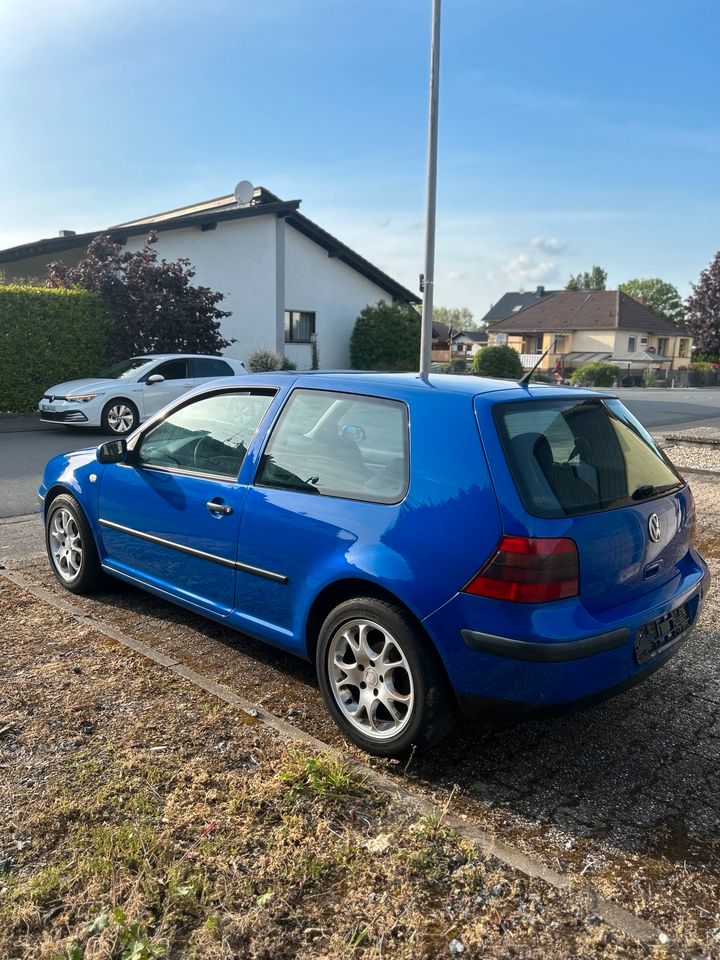 VW Golf 4 1.4 16V in Groß-Gerau