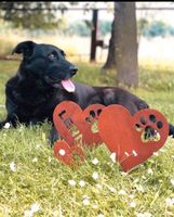 Gartenstecker Herz Pfote Edelrost Gartendeko Personalisierbar Niedersachsen - Emsbüren Vorschau