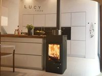 Austroflamm Kaminofen Lucy Cook 6 kW neu Bayern - Pförring Vorschau