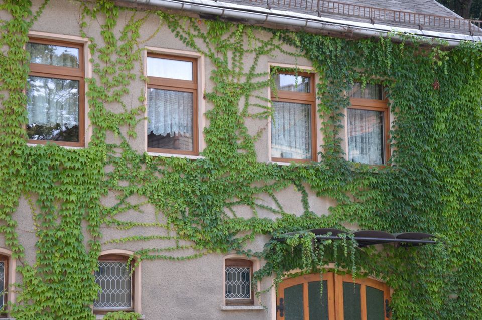 Schöne Ferienwohnung unter Schloss Heidecksburg in Rudolstadt