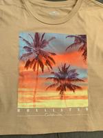 Sommer Shirt Hollister Gr. S Dortmund - Hombruch Vorschau