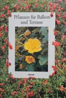 Pflanzen, Blumen, Balkon, Terrasse, Botanik, Wohnung, Garten Berlin - Spandau Vorschau