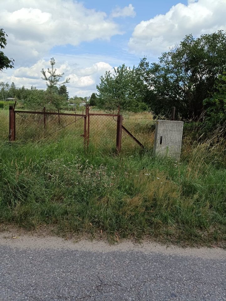 Gartenland in Wesenberg (Mecklenburg) in Wesenberg