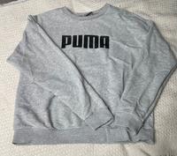 Puma Hoodie Hessen - Zwingenberg Vorschau