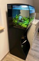 Fluval Aquariumkombi Flex 57L Brandenburg - Herzfelde Vorschau