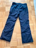 Herren Skihose Dare2b Größe L 50/52 Rheinland-Pfalz - Mainz Vorschau