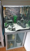 Aquarium Quadrat auf Unterschrank Baden-Württemberg - Freiburg im Breisgau Vorschau