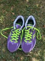 Laufschuhe Saucony Fastwitch 5 Baden-Württemberg - Stutensee Vorschau